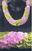 light swirl orchid lei