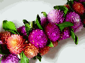 deluxe bozu lei