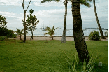 Old Lahaina Luau Wedding Grounds