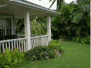 Kiko Waena