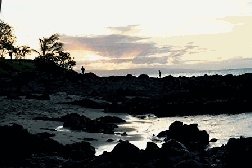 Napili Bay